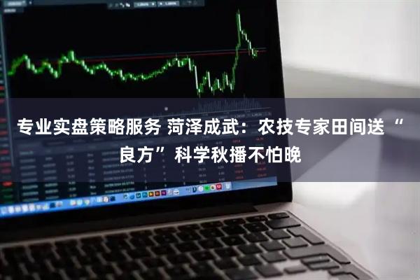 专业实盘策略服务 菏泽成武：农技专家田间送 “良方” 科学秋播不怕晚