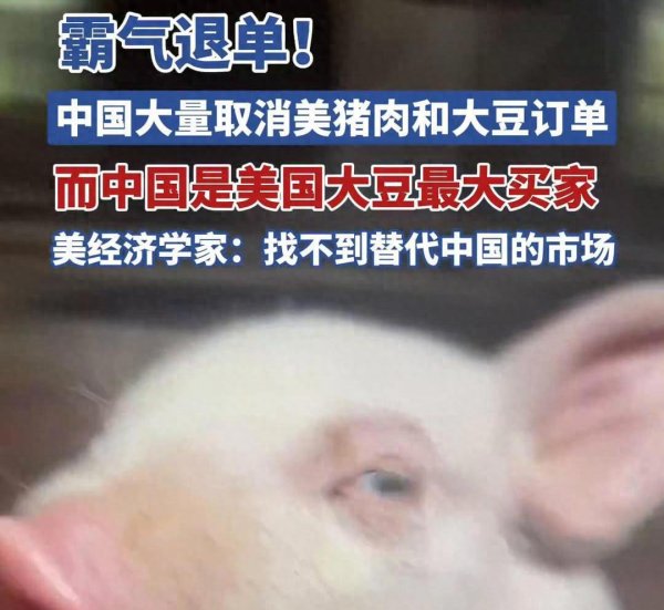 配资门户网官方平台 中方霸气退单，直击美国农粮巨头！寻不到替代市场，关税反噬显现