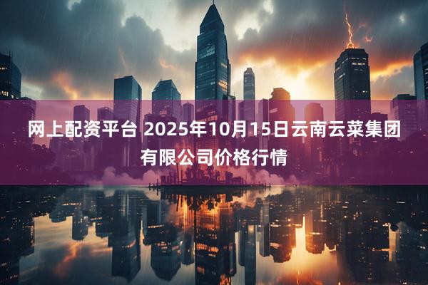 网上配资平台 2025年10月15日云南云菜集团有限公司价格行情