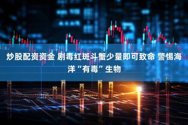 炒股配资资金 剧毒红斑斗蟹少量即可致命 警惕海洋“有毒”生物